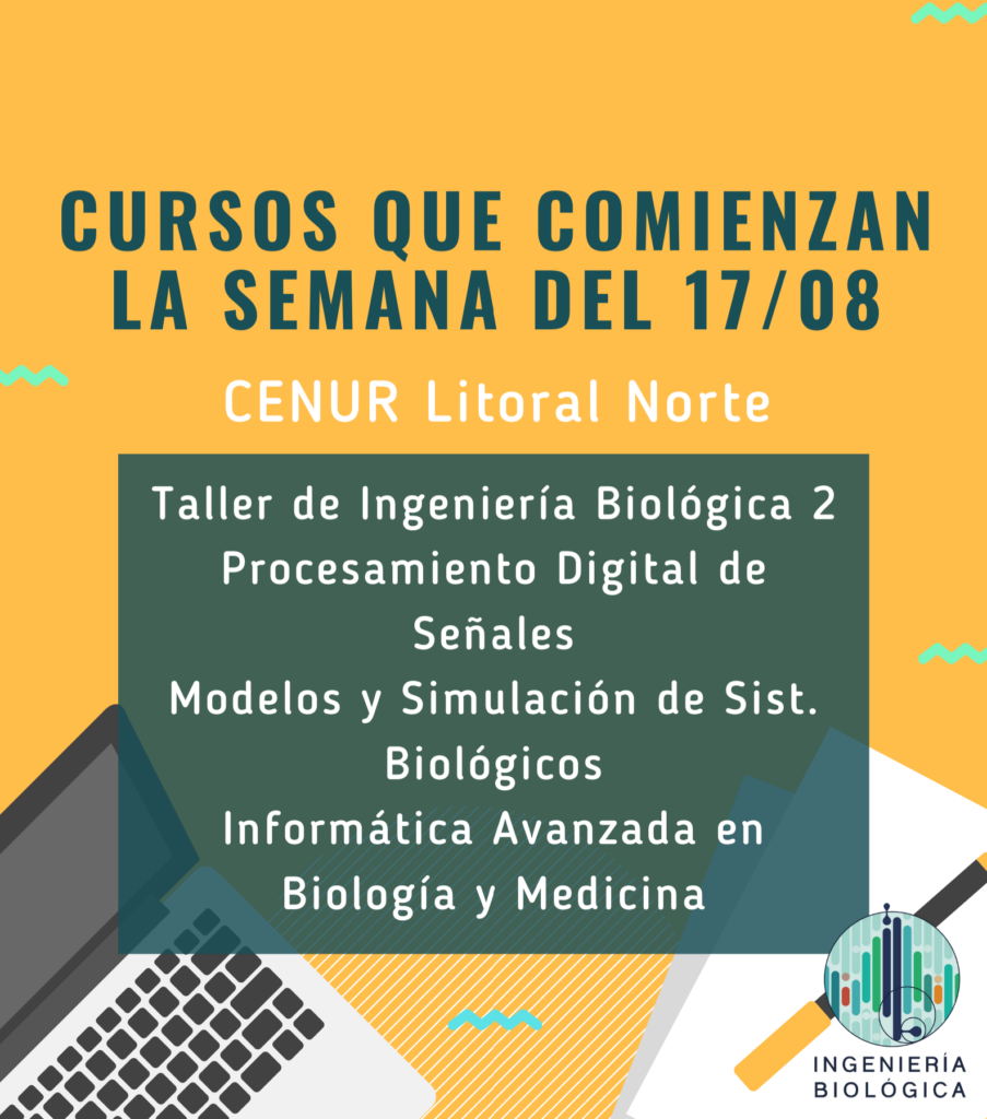 Cursos que comienzan la semana del 17/08